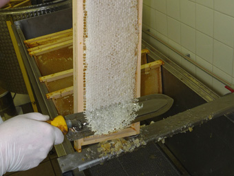 Zpracovn medu
