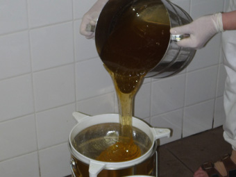 Zpracovn medu